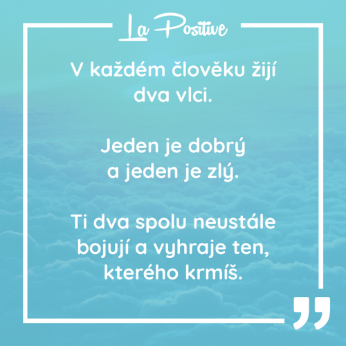  V každém životě 