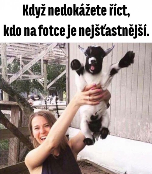  Nejšťastnější 