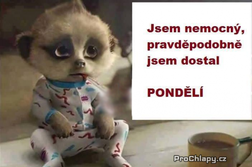  Pondělí 