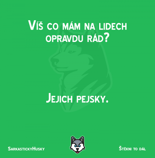  Je snad na světě něco lepšího než pejsek 