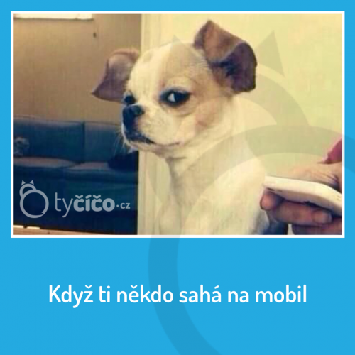  Když ti někdo sahá na mobil 