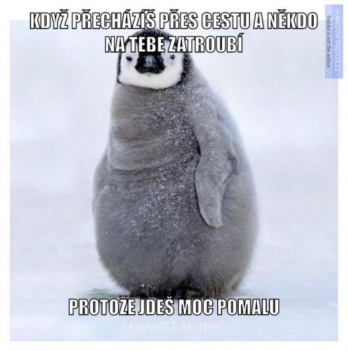 Hejbni kostrou!