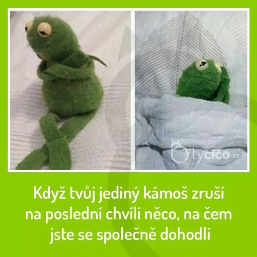 To není kámoš