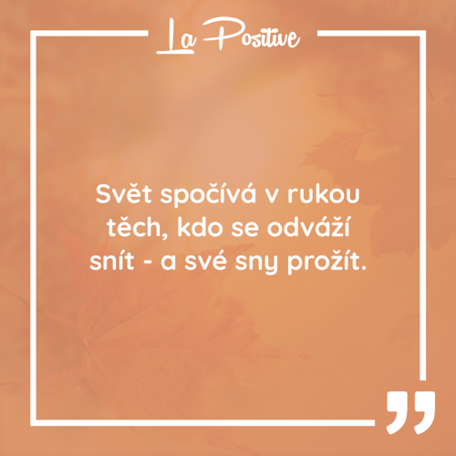  Svět 