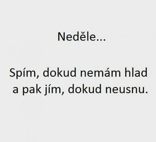  Neděle 