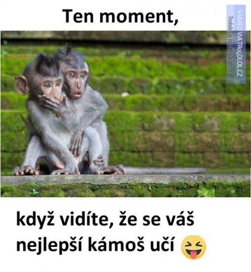  Nejlepší kámoš 