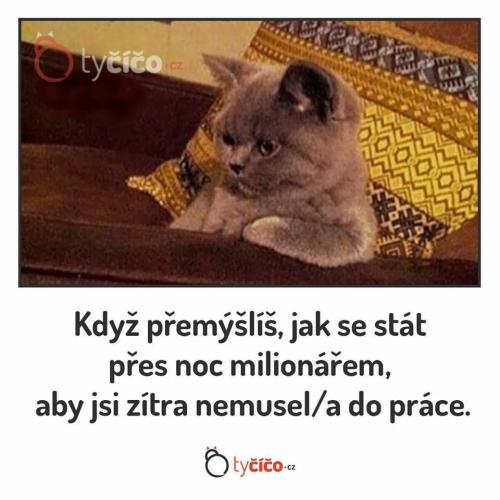  Práce 