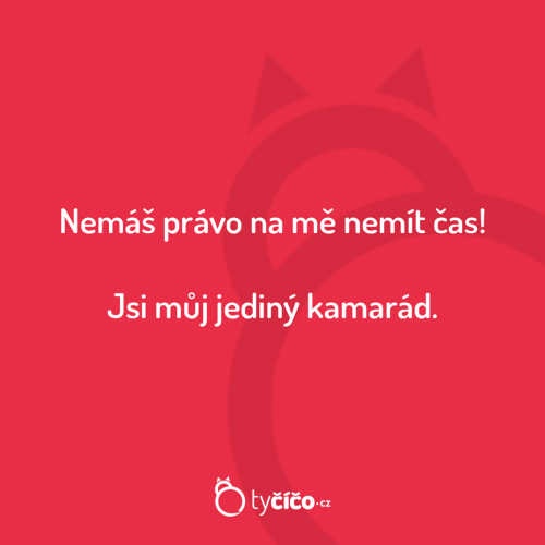  Jediný kamarád 