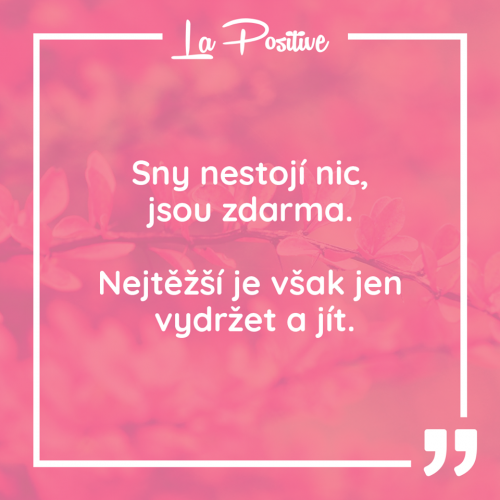  Sny nestojí za nic 