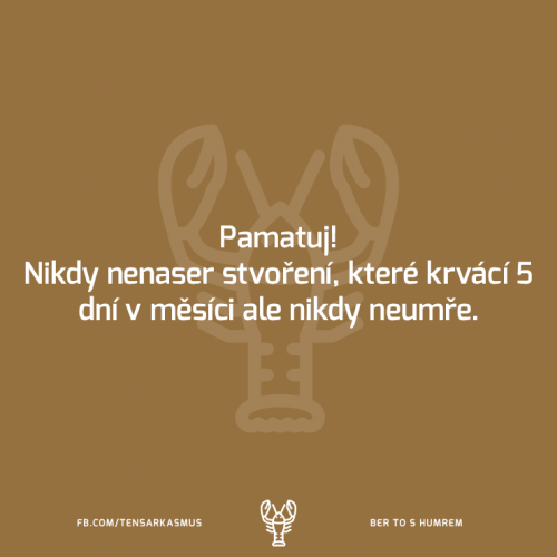 Pamatuj!