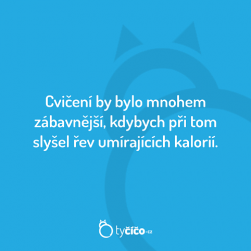  Cvičení by bylo super 