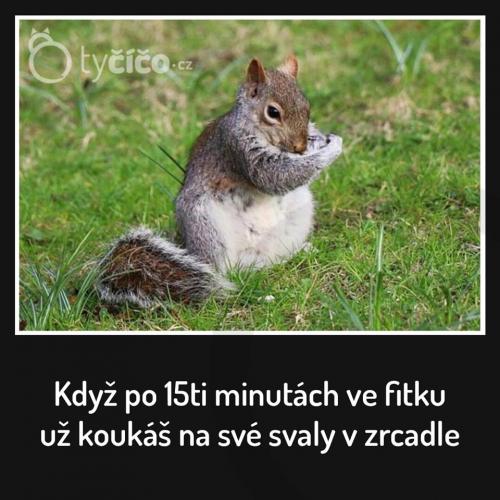  Fítko 