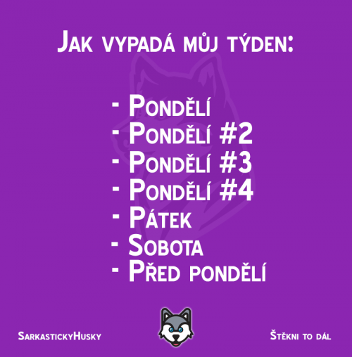  Pondělí 