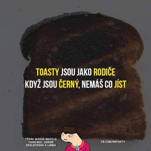  Toasty 