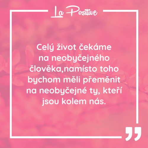  Celý život 