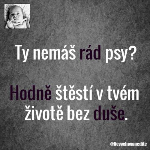  Hodně štěstí bez duše 