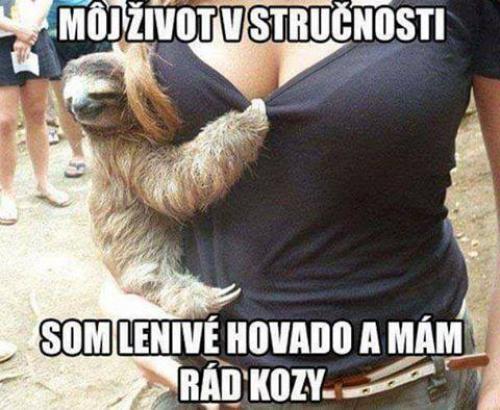  Život ve stručnosti 