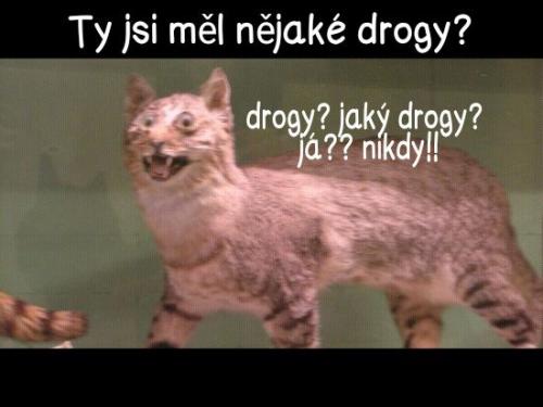  Drogy 