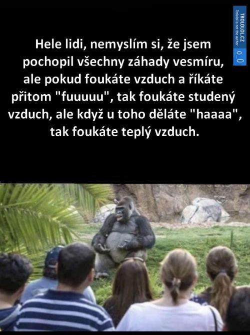 Gorika