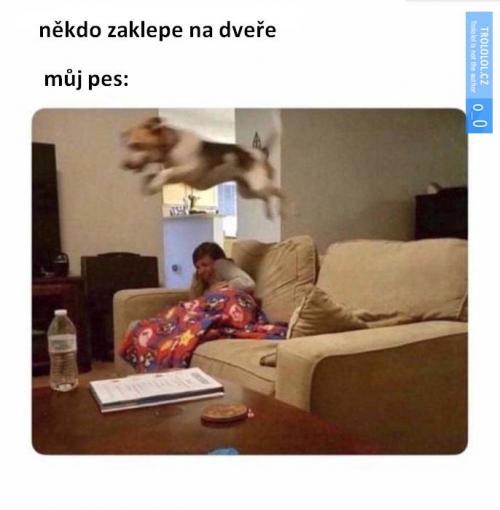  Dveře 