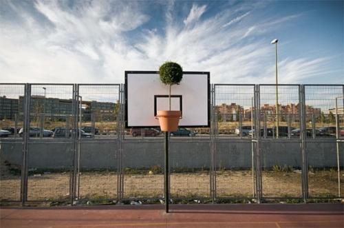  Využití květináče při basketbalu 