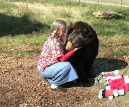  Medvědí láska 