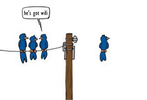  i ptáci už mají wifi 