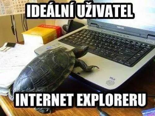  Internet Explorer 