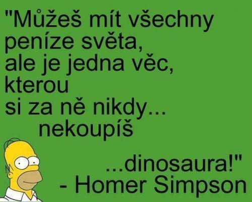 Homer je pán
