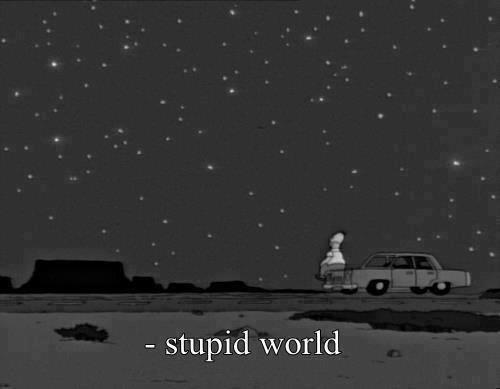  Stupid world 