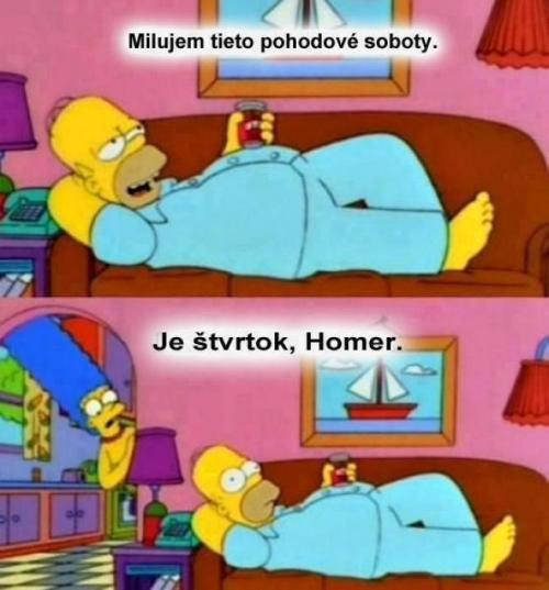  Homer Style 