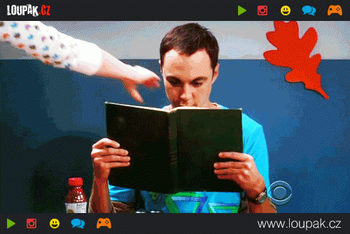  Sheldon 