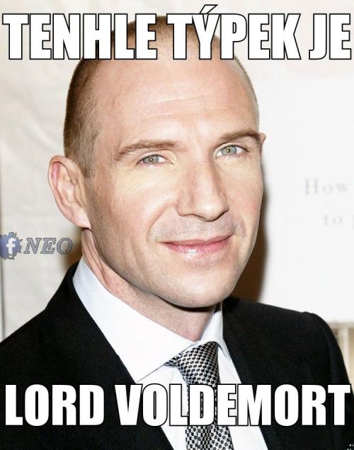  Lord Voldemort 