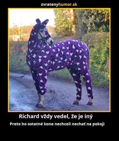  Richard:D 