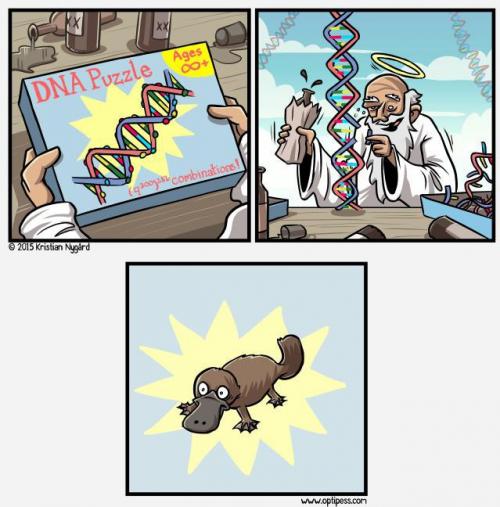  DNA puzzle 