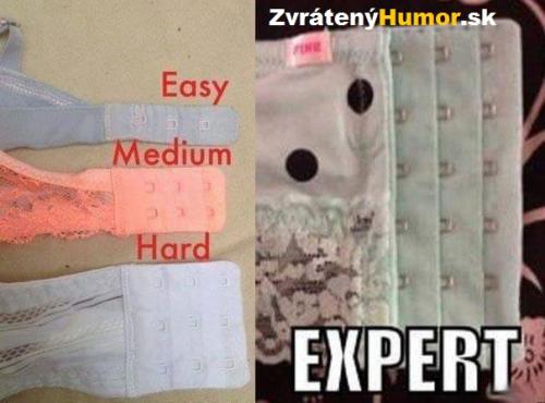  Expert 