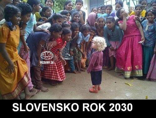Slovensko rok 2030