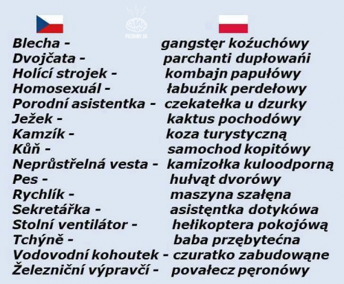  Čeština a Polština 