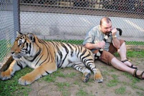  Tomu říkám dráždit tygra 