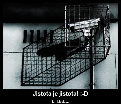  Jistota 