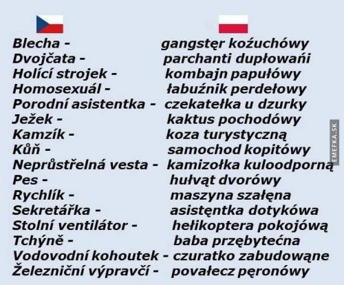  Česko-Polský slovníček 