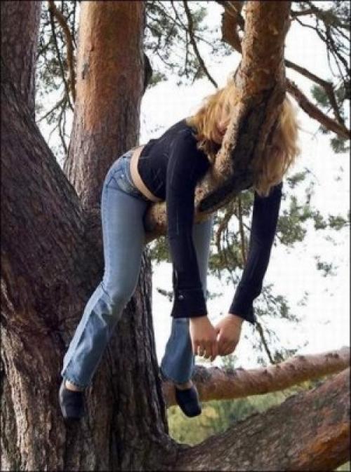  Kočka na stromě 