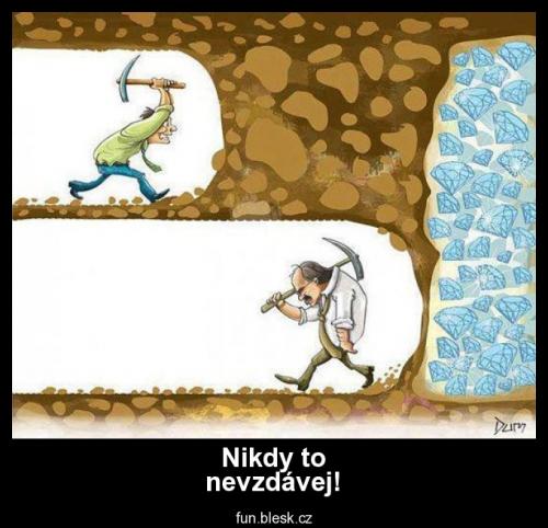 Nikdy to nevzdávej!!