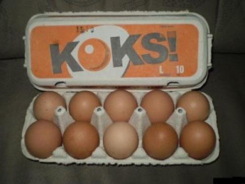  Koks na vajíčkách 