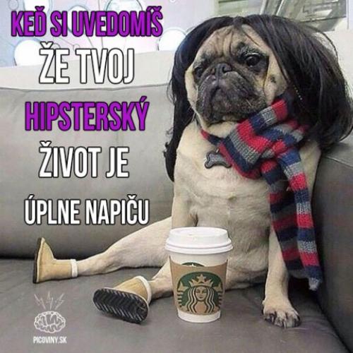 Hipstr