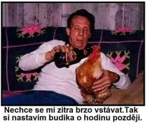 Chudák budík