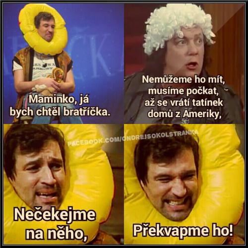  Chtěl bych bratříčka 