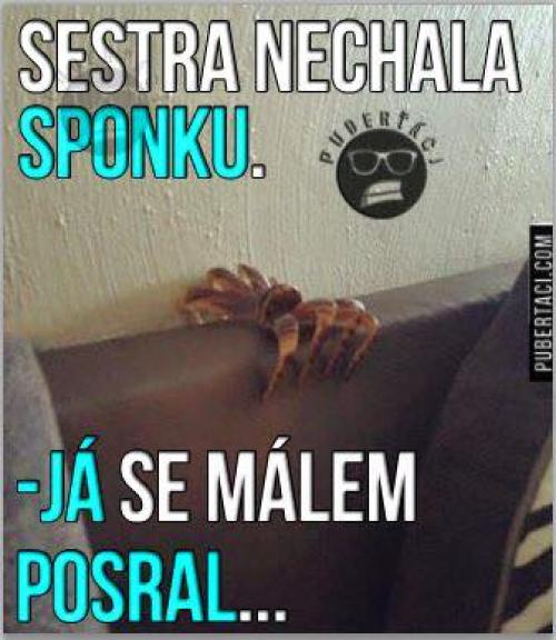  Sponka 