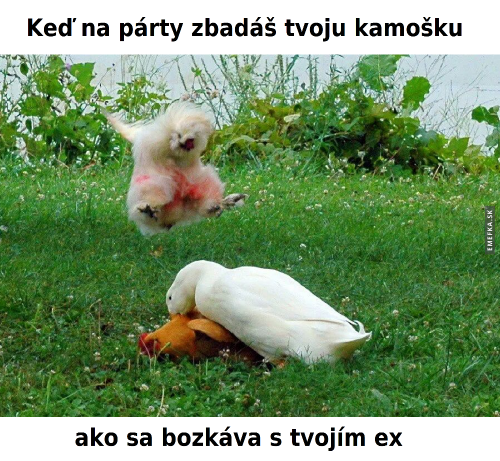 Tvůj ex s kámoškou