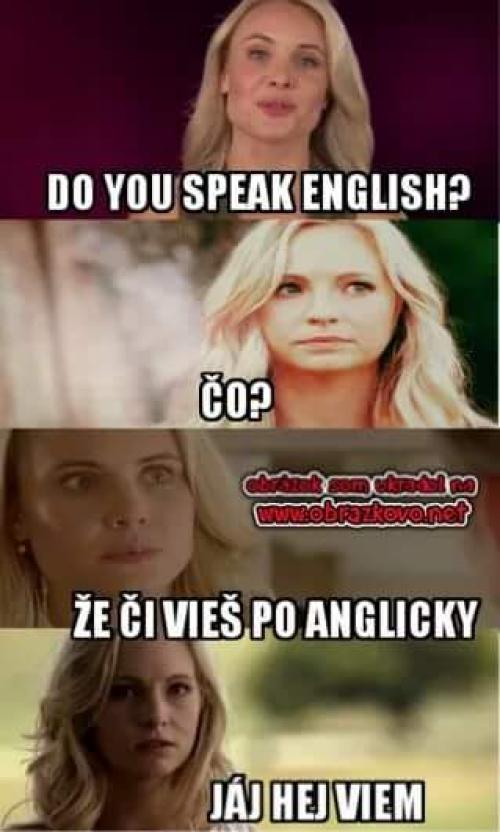  Do you speak english? 